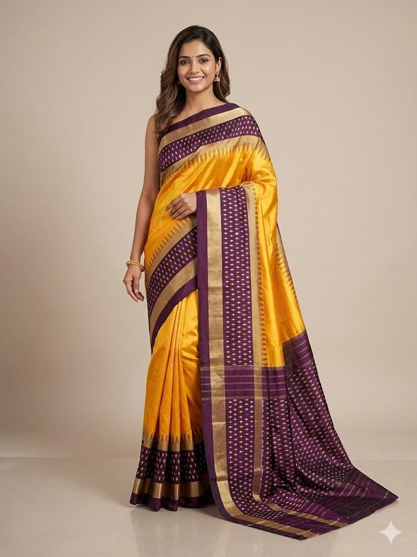Niranjani – Pochampally Double Ikkat Pure Silk Saree (Silk Mark Certified)