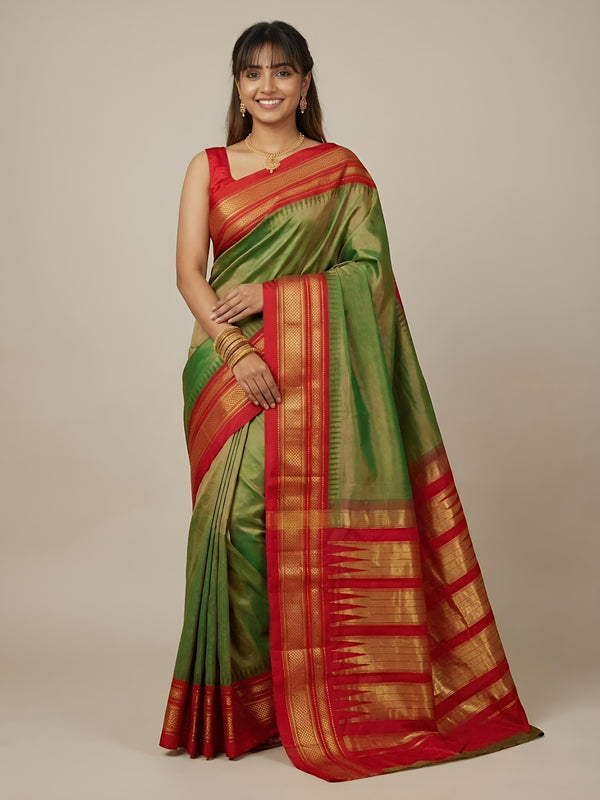Woman wearing a green and red saree with a plain background