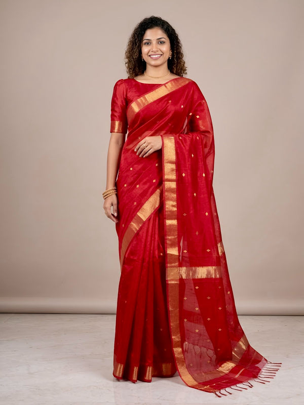 Manasi - Handloom Silk Cotton