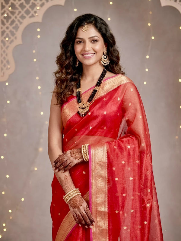 Ruqaiya-Banarasi Tissue Silk Saree(Silkmark Certified)