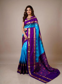 Neethi – Pochampally Double Ikkat Pure Silk Saree (Silk Mark Certified)