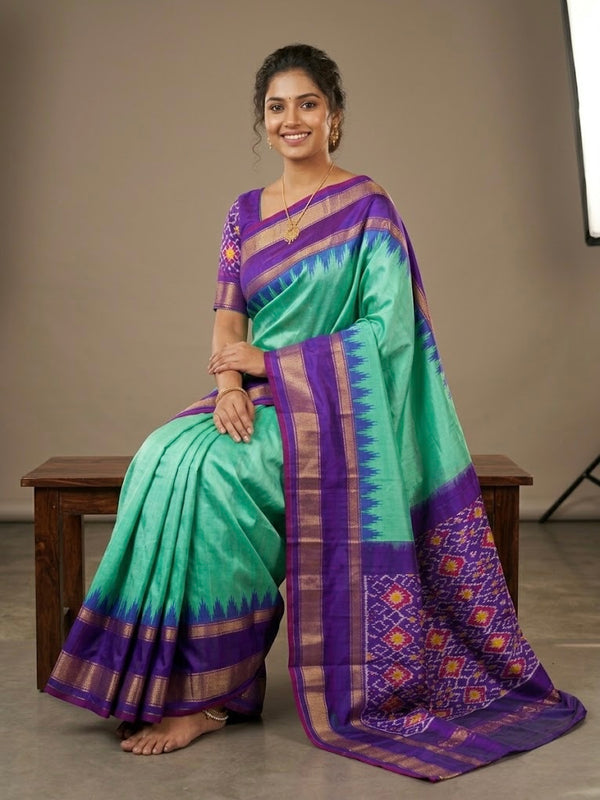 Ankita – Pochampally Double Ikkat Pure Silk Saree (Silk Mark Certified)
