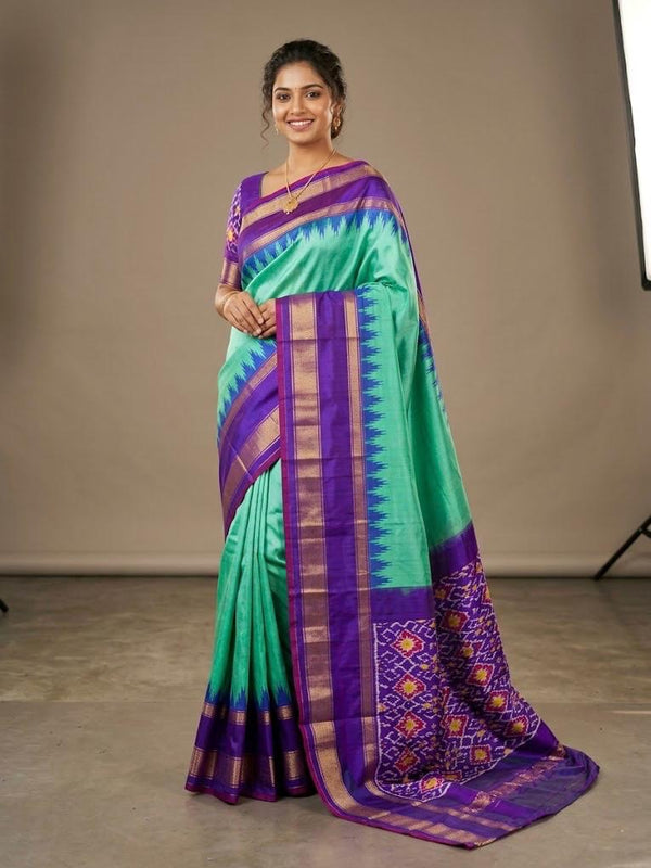 Ankita – Pochampally Double Ikkat Pure Silk Saree (Silk Mark Certified)