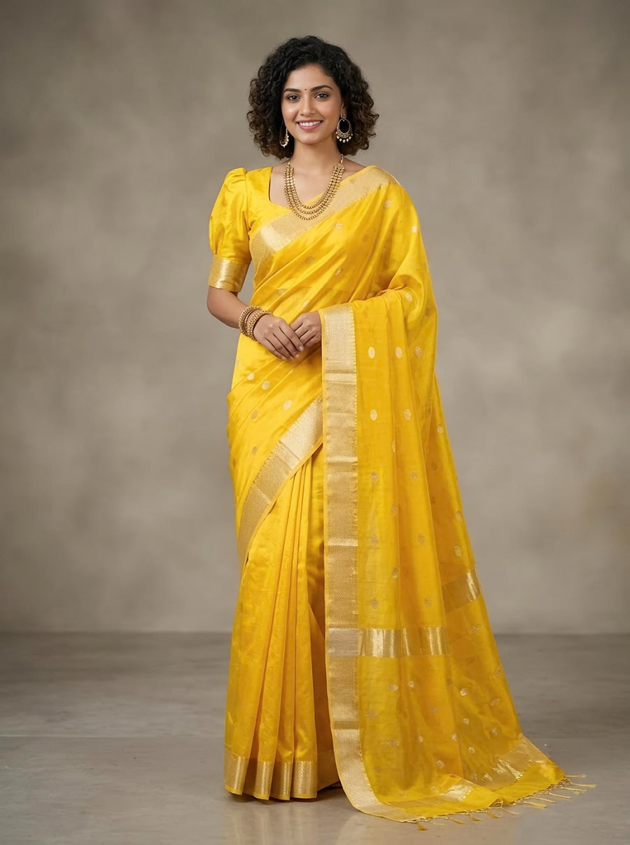Bhairavi - Handloom Silk Cotton
