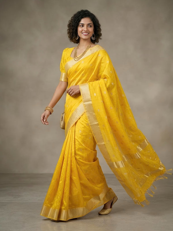 Bhairavi - Handloom Silk Cotton