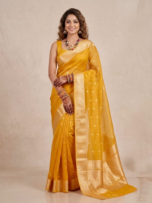 Inara-Banarasi Tissue Silk Saree(Silkmark Certified)