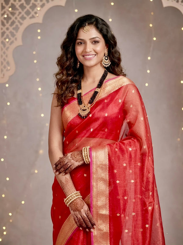 Ruqaiya-Banarasi Tissue Silk Saree(Silkmark Certified)